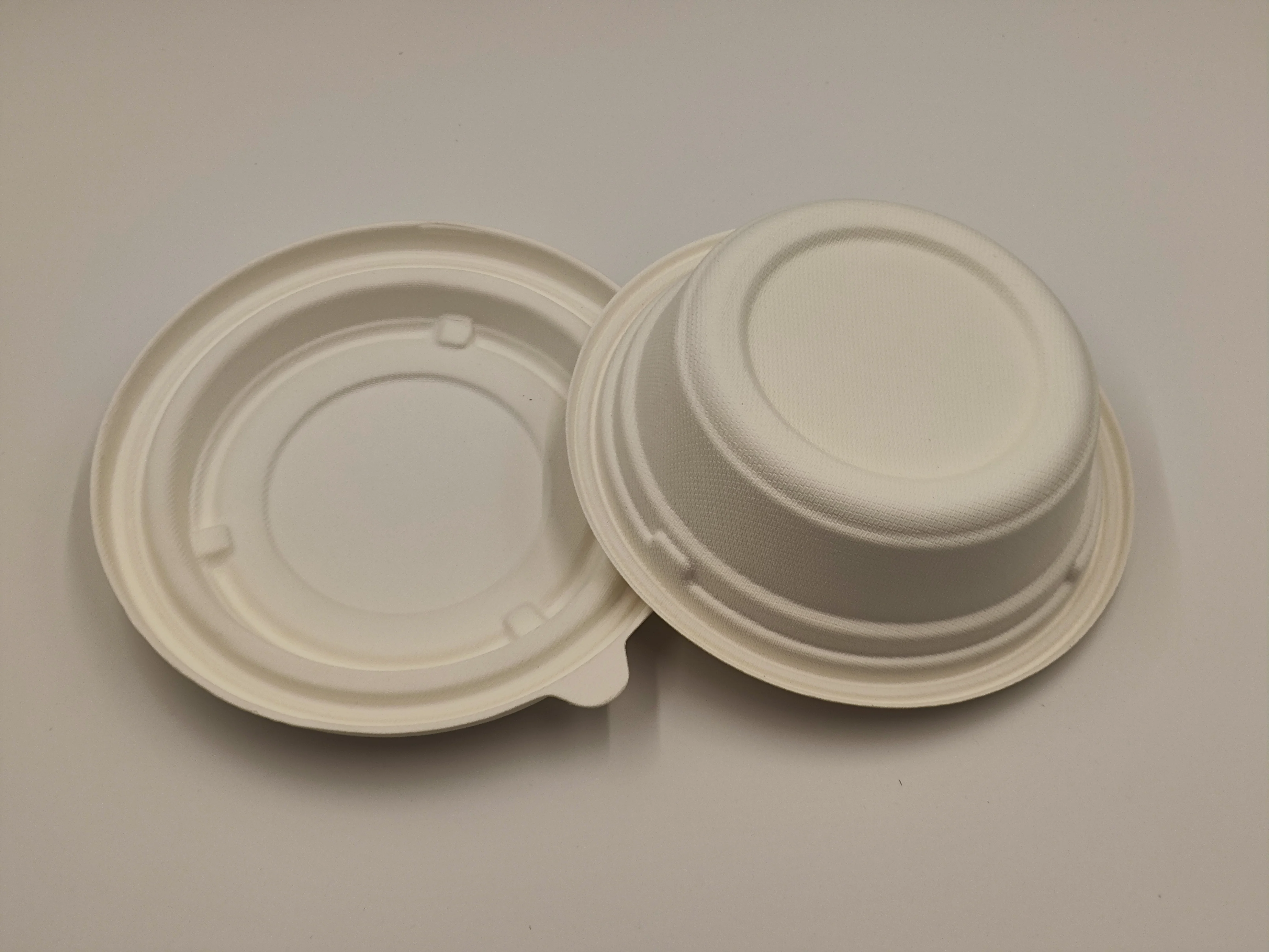 Custom Kraft Food Service Disposable Salad Bowl Lunch Bagasse Pulp Plate for Catering with Logo for Food Use