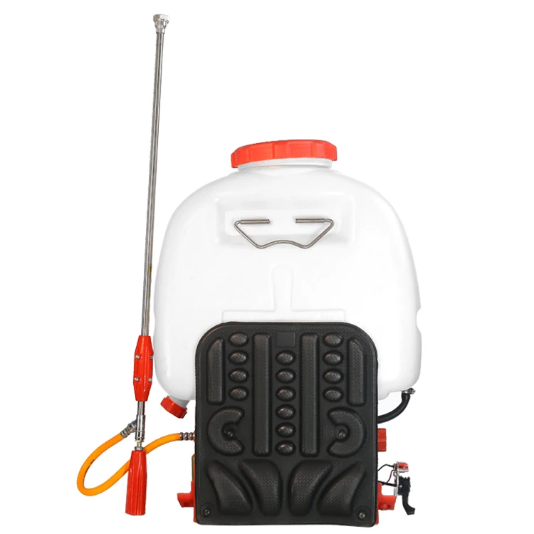 2023 hot sale Pump 23L Knapsack Power Gasoline Agricultural Sprayer 1E34F  Spray Equipment