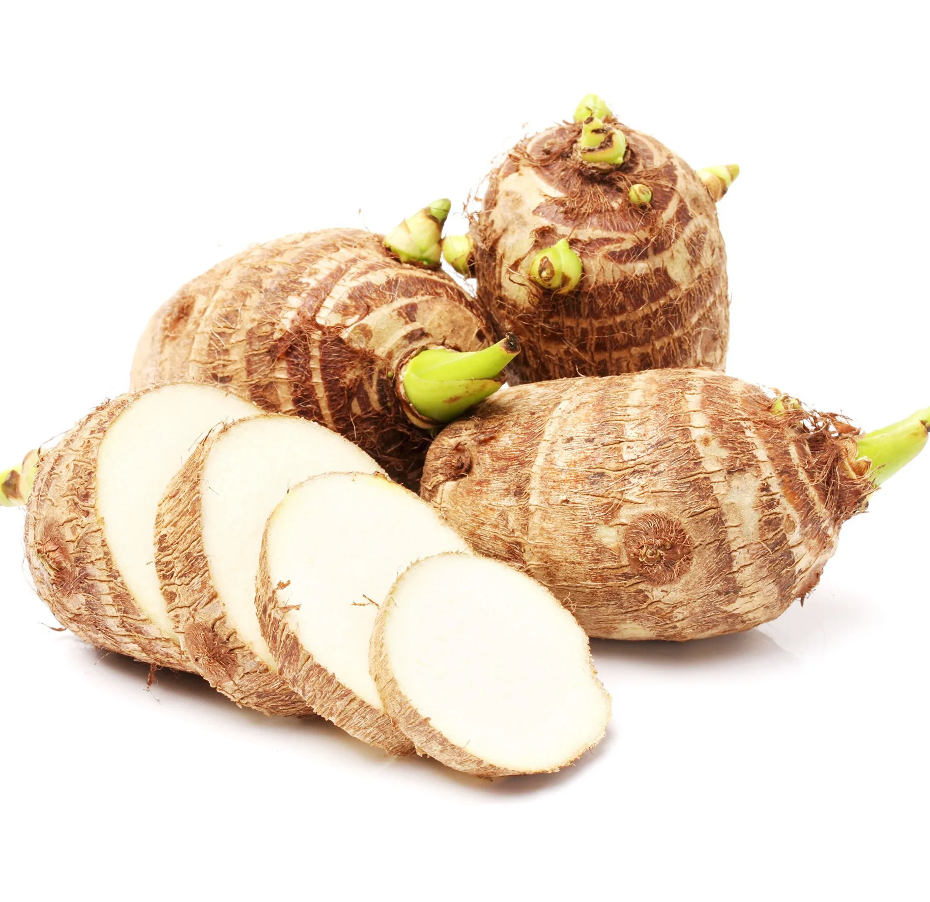 New season taro for export high quality fresh taro wholesale low price Chinese vegetables