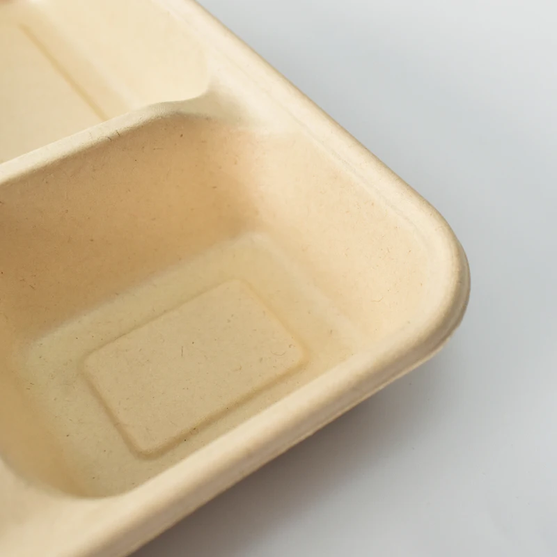 Disposable Paper Sugarcane  Food  Containers Ecofriendly Brownies Heat Seal Take  Away  Lunch Box