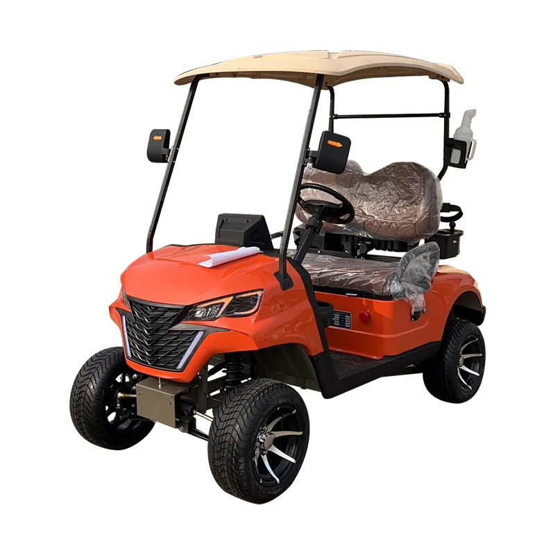 WELIFTRICH 2 seats small mini single seat electric golf cart with cargo bed