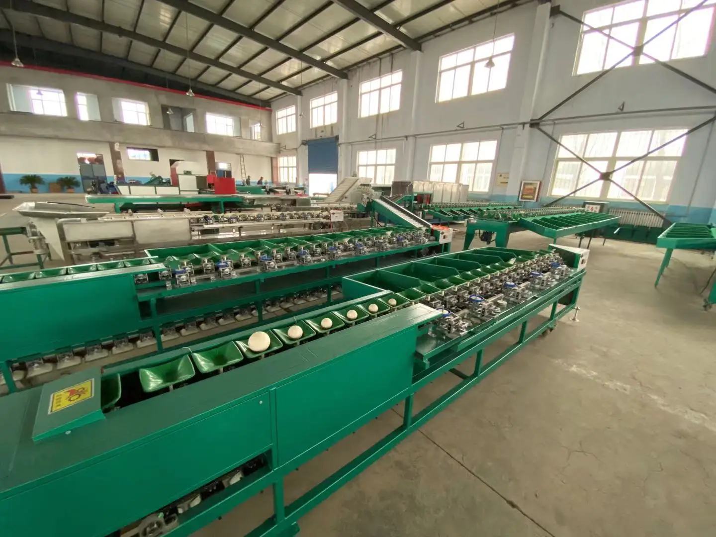 Hot sale mechanical citrus weighting grading fruit weight sorting