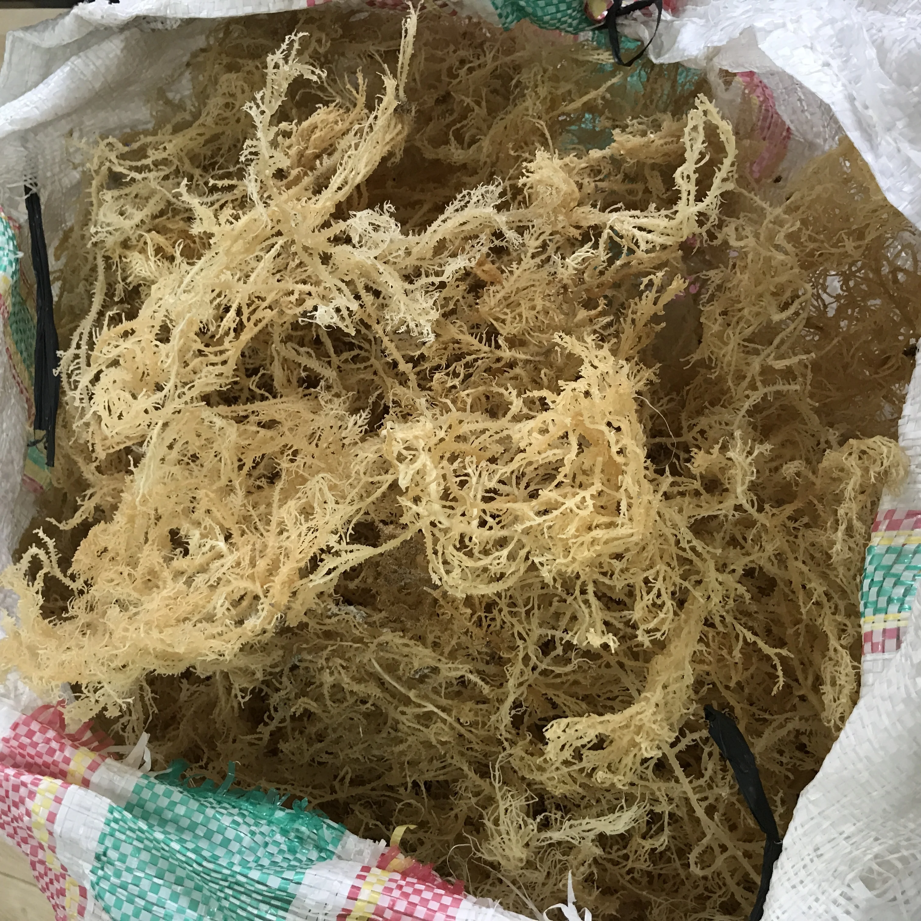 N10 Health natural delicious products dried sea moss for food