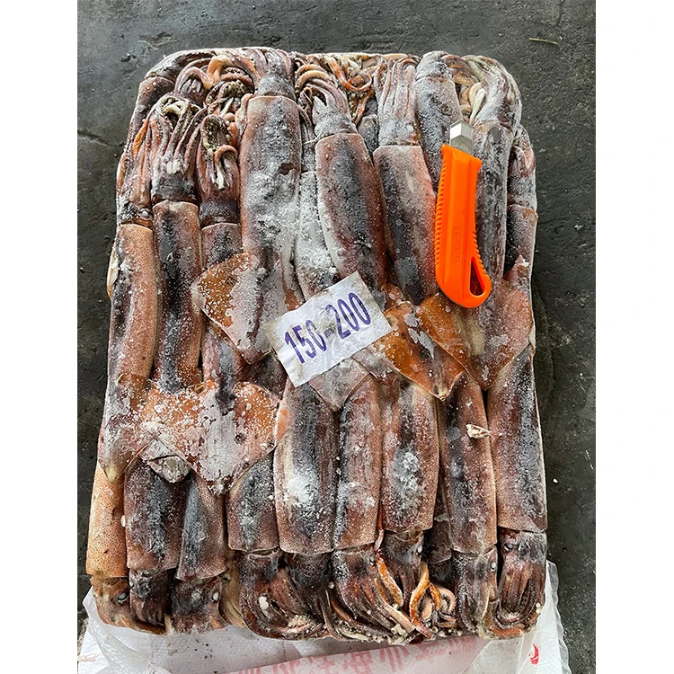 SANFENG морепродукты оптовая цена высокое качество кальмары большого размера Argentina замороженные