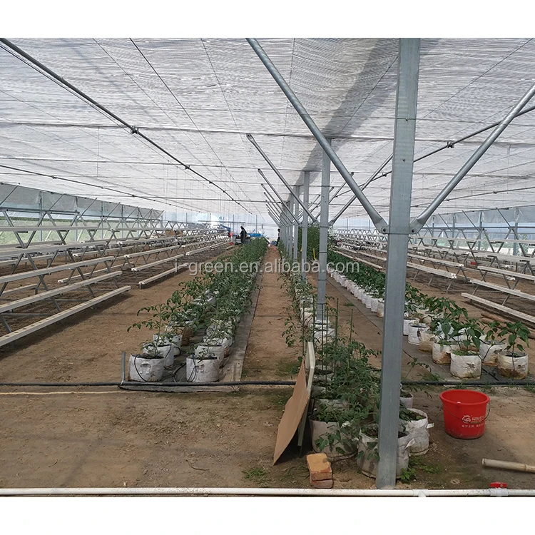 IGREEN Vertical Farming Hydroponic Tower Green Modular House Film Large Multi-span Plastic Greenhouse for Plants Single Layer