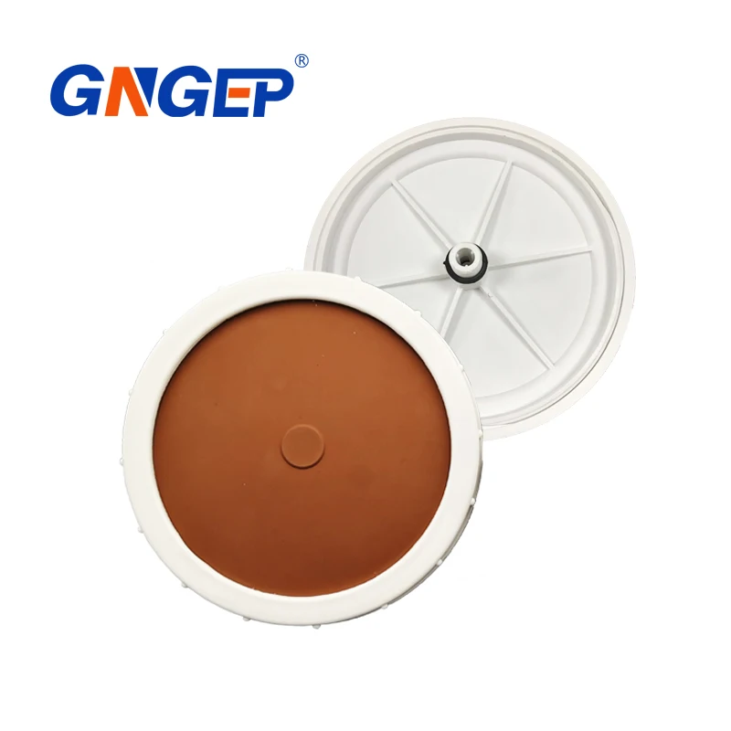 PTFE membrane ozone diffuser with 8 9 12 inch