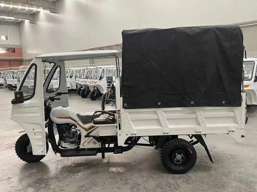 ZongShen CQ1 OEM High-quality Wholesale Motorized Tricycle Gasoline Engine Cargo Adult Enclosed Electric Delivery Trike