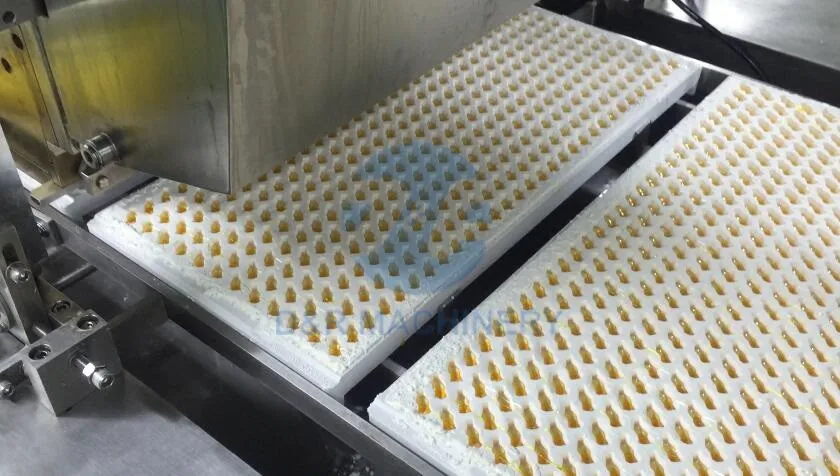 Starch Mogul Plant with Wooden Tray for Gelatin Bear Gummy and Pectin Jelly Candy Making Machine
