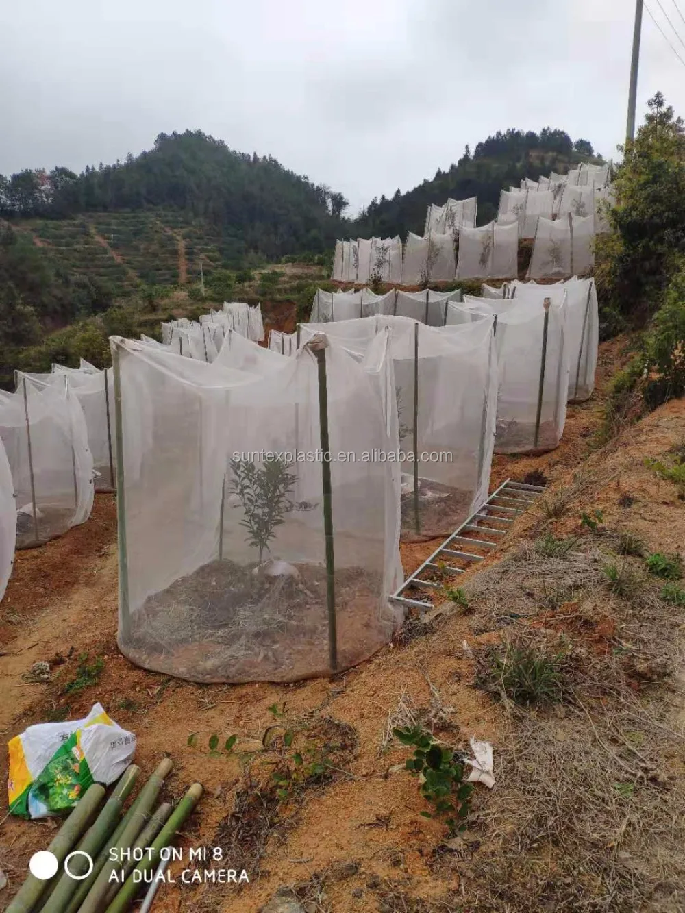 Thailand Garden Plant Fruit Protect Drawstring Net Bag Against Insect Pest Bird