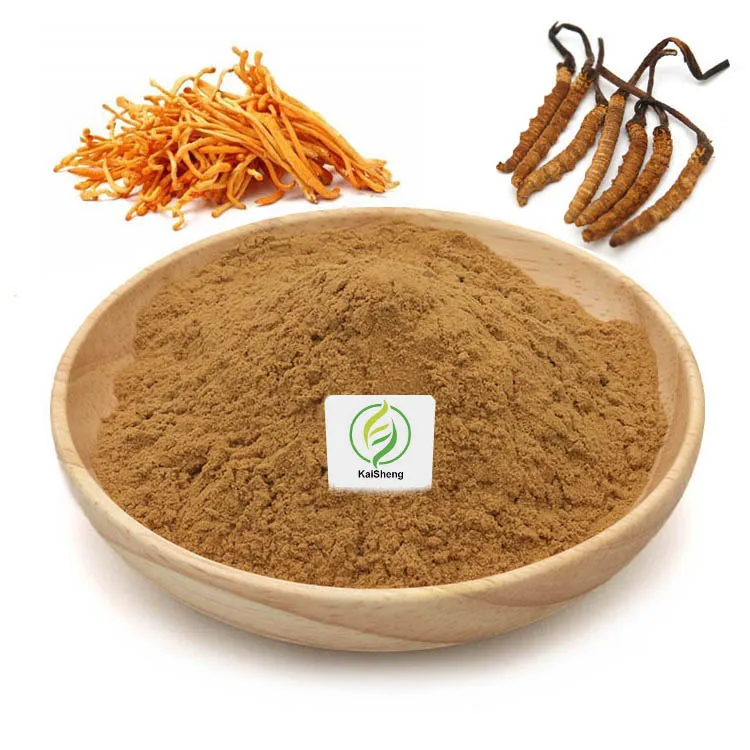 Wholesale 100% Pure Mushroom Cordyceps Extract Powder Cordyceps Militaris Extract Powder