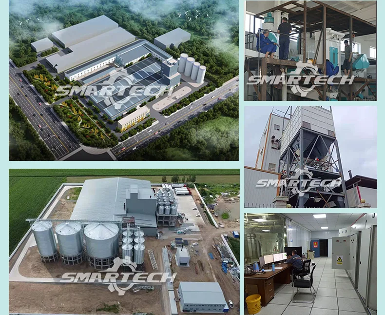 3~7ton/h Automatic Production Line Machinery Cat Litter Pellet Machine Feed Processing Machines For Factory