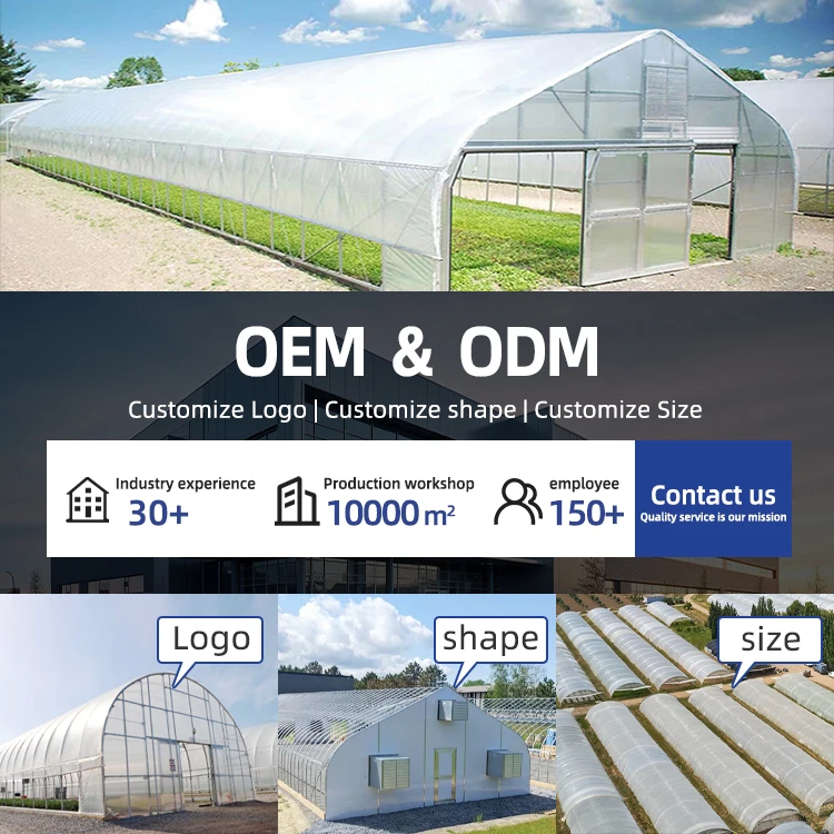 supplies winter  snail farming aluminum green house metal frame Vegetable Tunnel greenhousesagriculture greenhouse kit