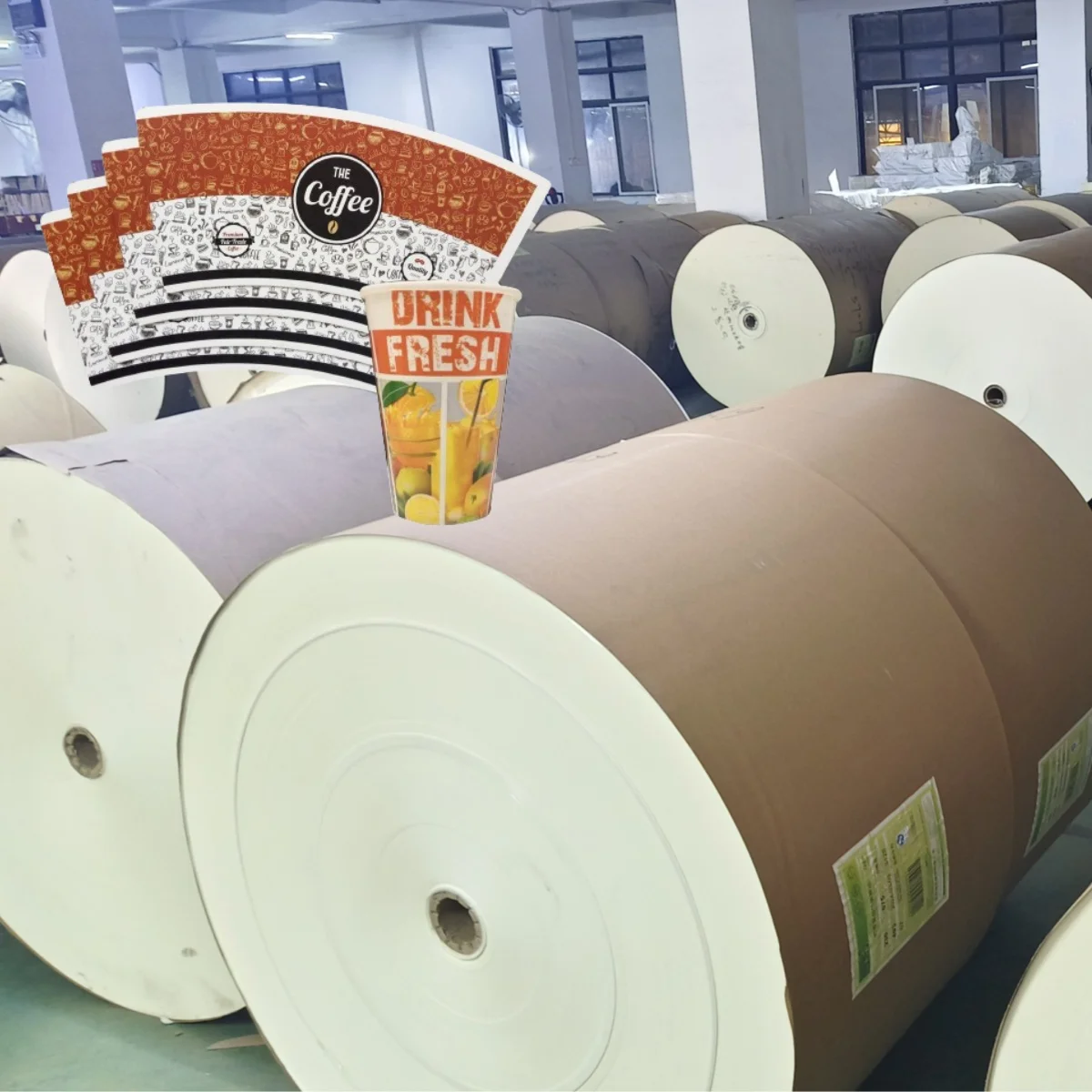 Factory Custom Premium PLA Coated Paper Rolls with Factory Prices