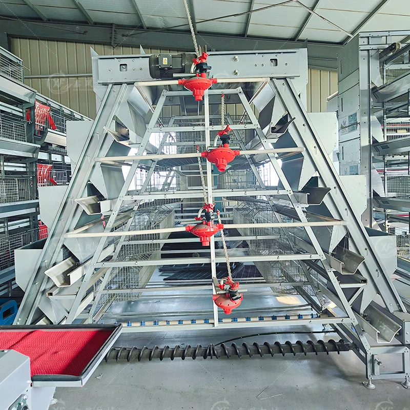 Wholesale Automated Poultry Farming Chicken Cages a Type 10000 Layer Chickens Farm Bird Layer Cage Chicken Cage for 5000 Birds