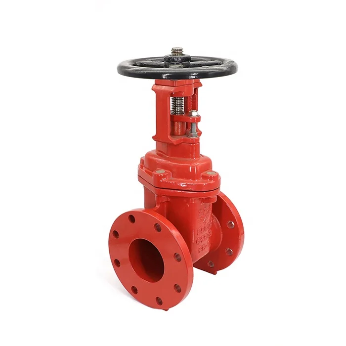 Awwa Inside Screw Rising Long Stem Flanged Gate Valve