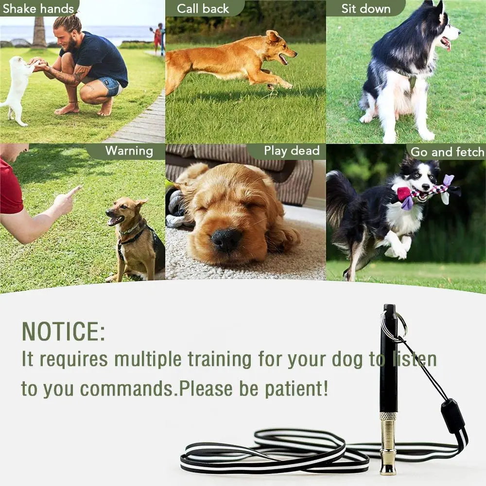 Dog Whistle Free Lanyard for Dog Recall Repel Training Adjustable Frequencies Ultraso Stainless Steel Dog Training Whistle