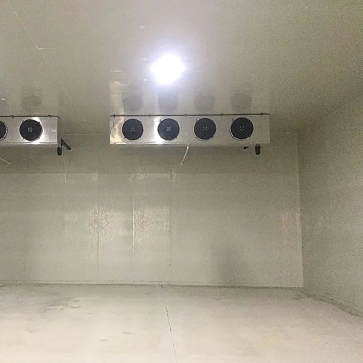 Factory Made Frozen Food Cold Storage Warehouse Cheap Price/Onion Refrigeration Compressor Cooler Room