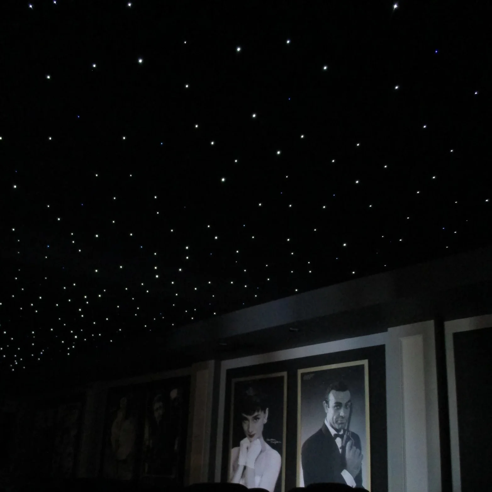 Fibre Optic Star Home Theatre Ceiling