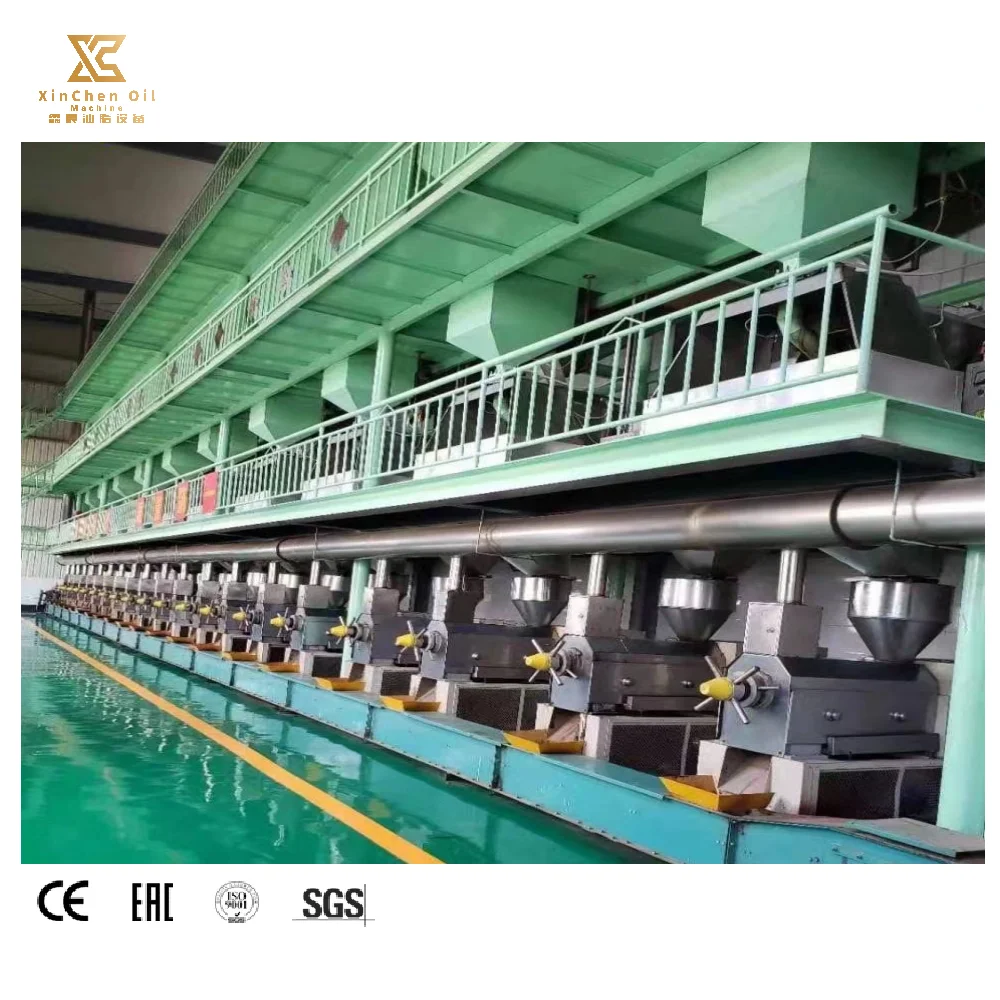 Small Commercial Sunflower Sesame Soybean Oil Making Machine including Extraction / Refining / Filling