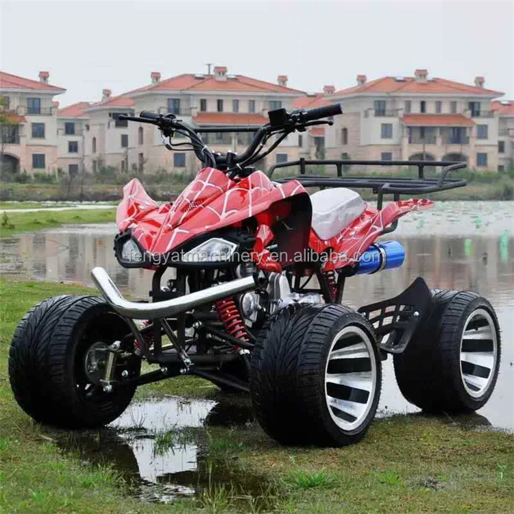 FENGYAT 2 Stroke 49cc Kids Dirt Bike Db10sa With