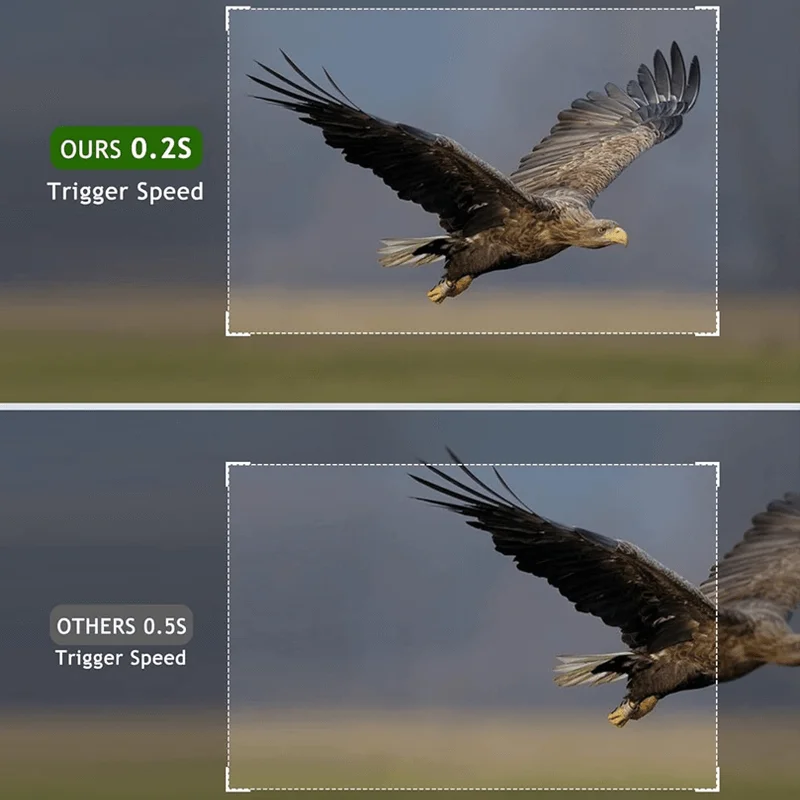 Mini Tracking Exploration camera 20MP 1080P with night vision sports activated outdoor waterproof hunting wildlife defense camer