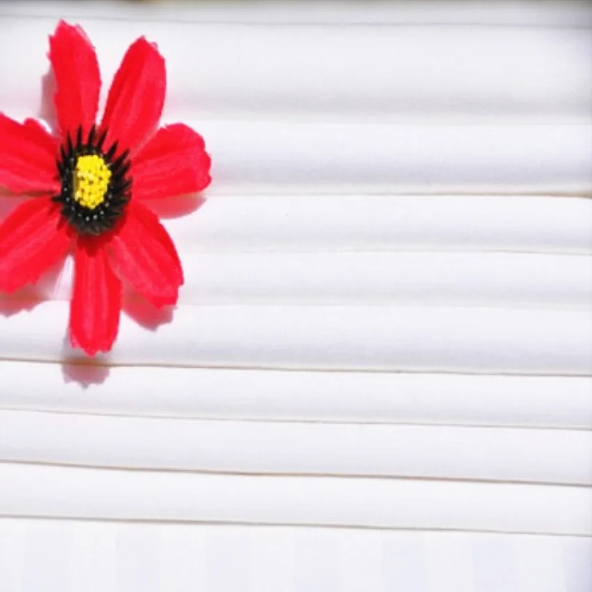 Wholesale luxury 100% cotton super king size egypt white bedding meter fabric