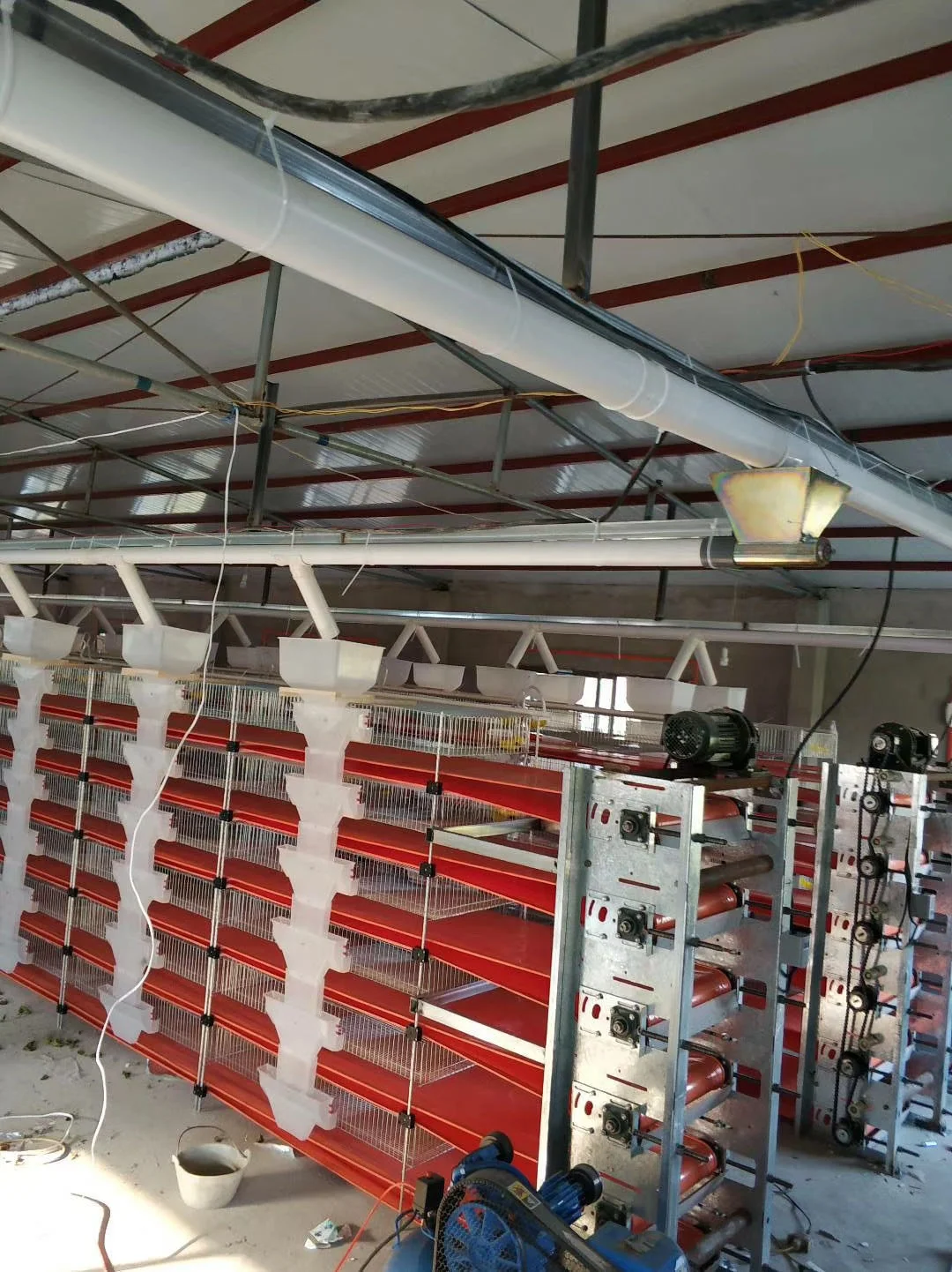 factory price H type 6 tiers quail cage