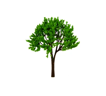 Модели деревьев разных пропорций