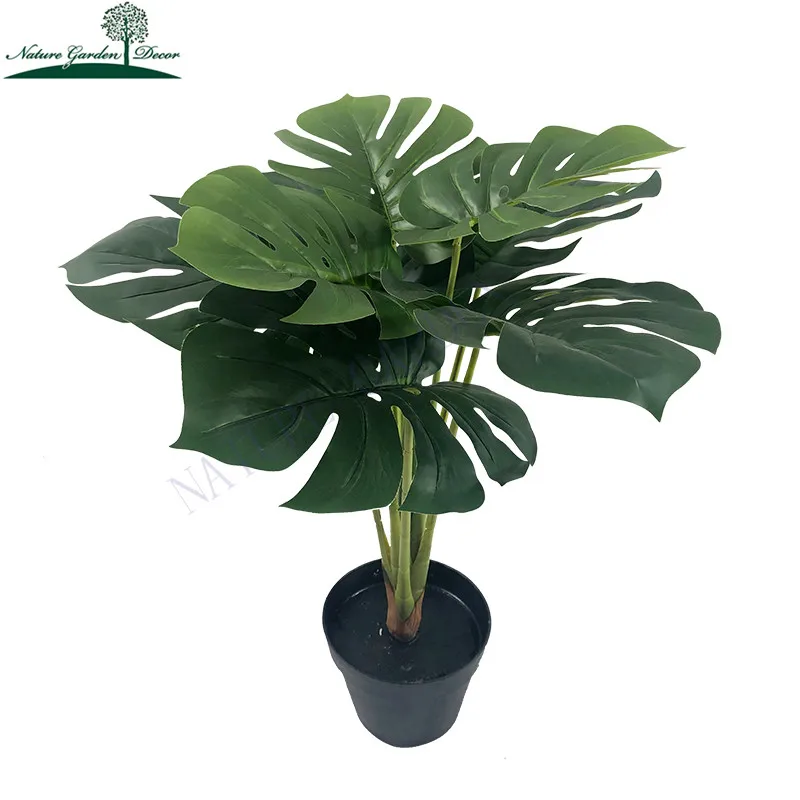 Ornamental Monstera Variegata Natural Plant Indoor Decoration Artificial Dry Tree House Plants