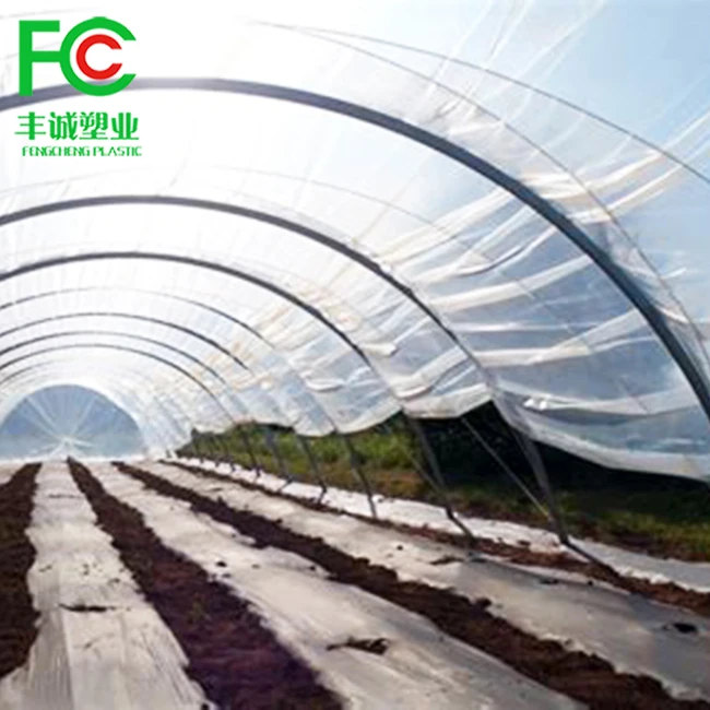 Low cost greenhouse China factory manufacture covered plastic film in wholesale