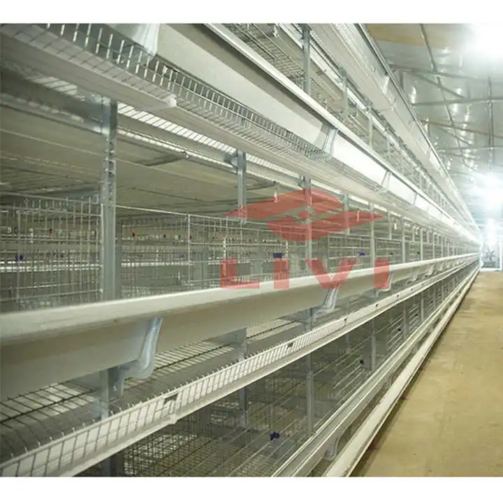 Automatic H Type 4 Tiers Bird-Harvesting Broiler Raising Cage for Layer Chicken Raising Poultry Farm