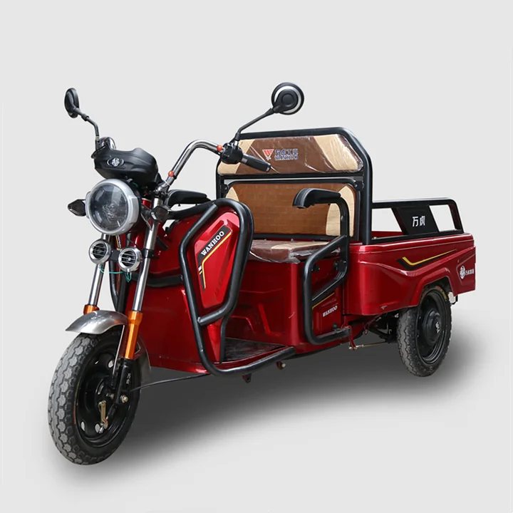 2021 new designed hot sale High Quality Small Electric KeKe 1000w adult Tricycle In Bangladesh