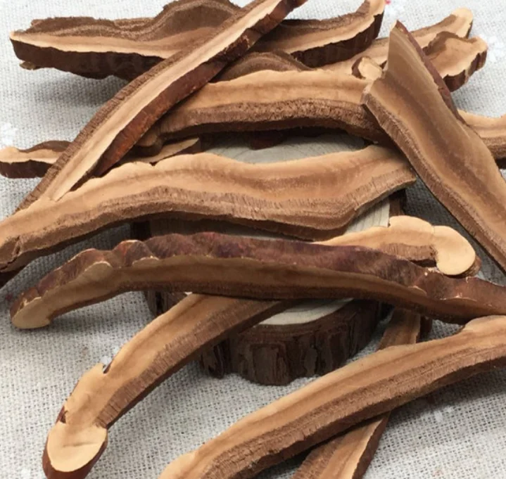 Pure premium quality shredded mushrooms raw chopped ganoderma slices