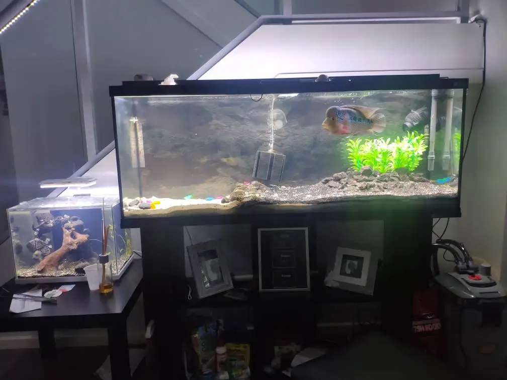  New 2ft/4ft 30/120cm 56W Led Aquarium Light Aquatic Coral Aquariums & Accessories LED Lighting Lamp