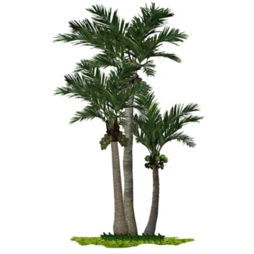 Оптовая продажа Искусственные пластиковые искусственные растения и зелень декоративные большие Пальмовые Листья кокосового дерева деревья на открытом воздухе для продажи