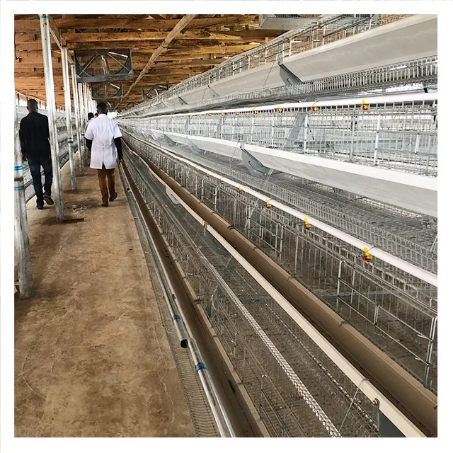 Best Price Poultry Farming A Type Galvanized Chicken Layer Poultry Cage