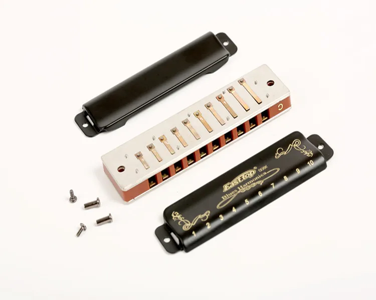 harmonica professional Blues 10 hole harmonica musical instrument