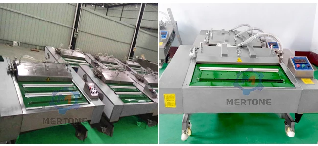 Two Chamber Vacuum Packer