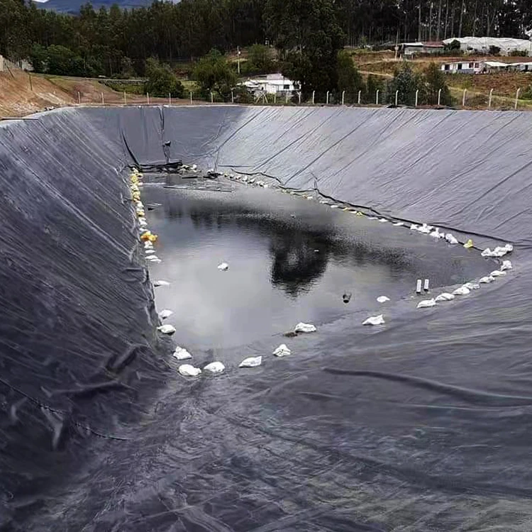 HDPE fish farm geomembrane smooth geomembrane hdpe liner 1.5mm geomembrane 1mm pond liner