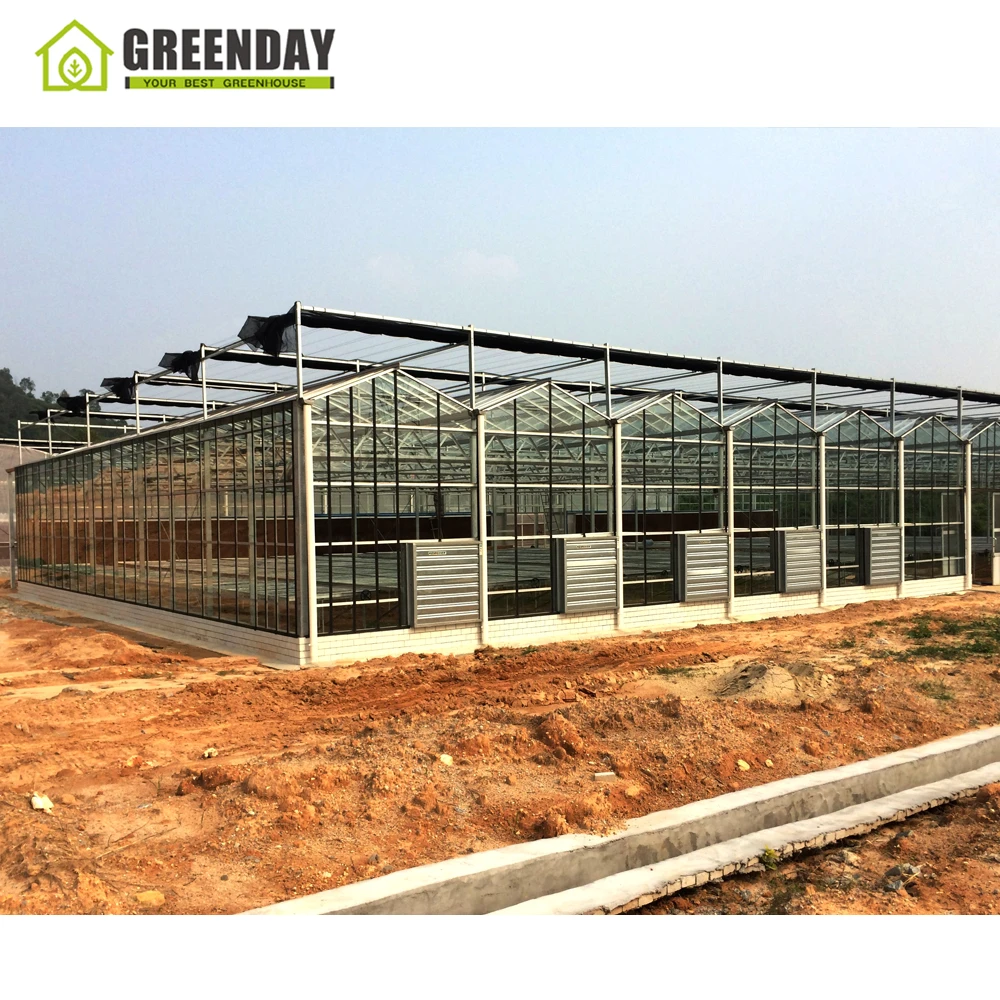 
Low price GREENDAY organic greenhouse polycarbonate for lettuce 