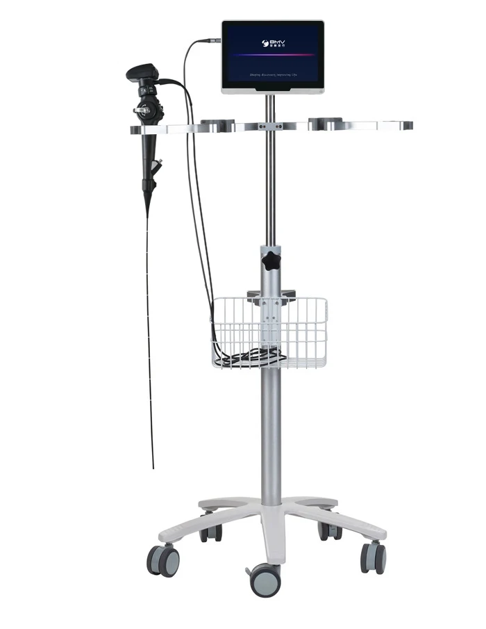 BMV BVI-11 Veterinary Gastrointestinal Endoscopy Image System Dog/cat Full Hd Endoscope