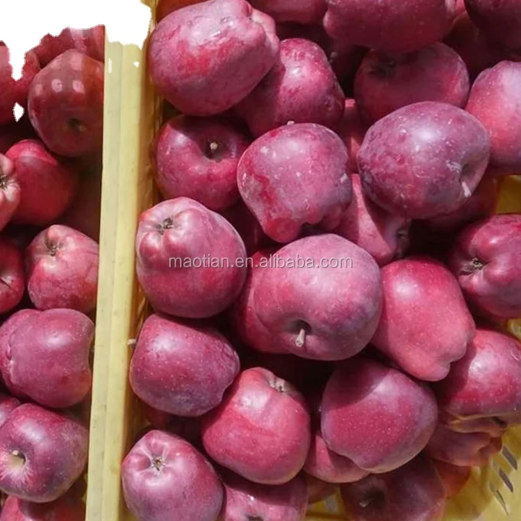 
 Вкусное яблоко Хайленд хуаниу  