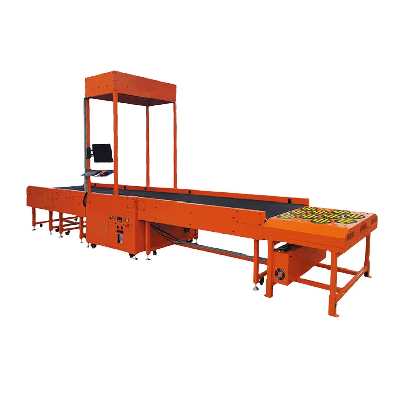 Intelligent Parcel Sorting Machine With Multi Customized Exists Machine For Parcel Weighing Code Scanning Full Automatic