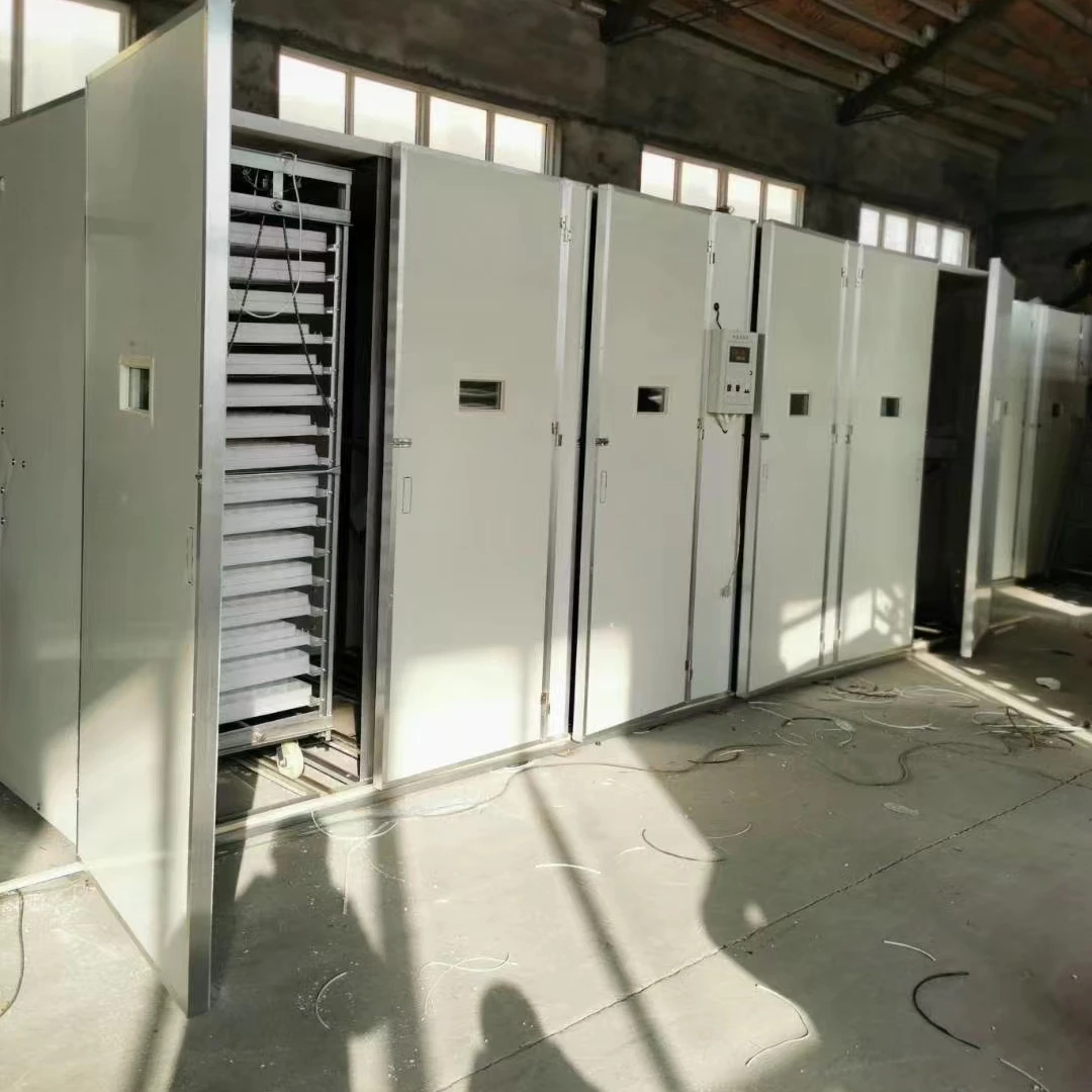 1056 Chicken Eggs Incubators Bird Hatching Eggs Quail Fully Automatic Incubator