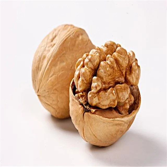 2021 New Crop Harvest Walnut/Walnut in Shell Food Chinese Export Inshell Shelled