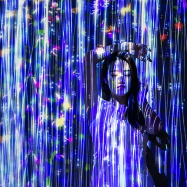 Multi Sensory Digital Art Projection Mapping Interactive Wall Projection Immersive Projection Room