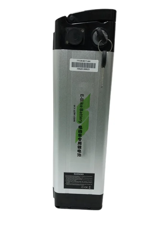 DGWZ 24V36V48V 10-20ah высококачественный и большой емкости аккумулятор silverfish Аккумулятор для