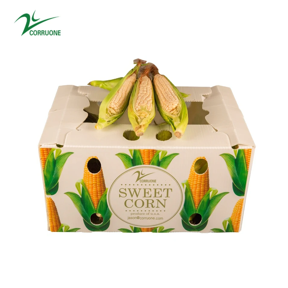 Eco-friendly Corruone Customized Pp Sweet Corn Box Plastic Asparagus Box Recyclable PP Corrugated Plastic Corn Box