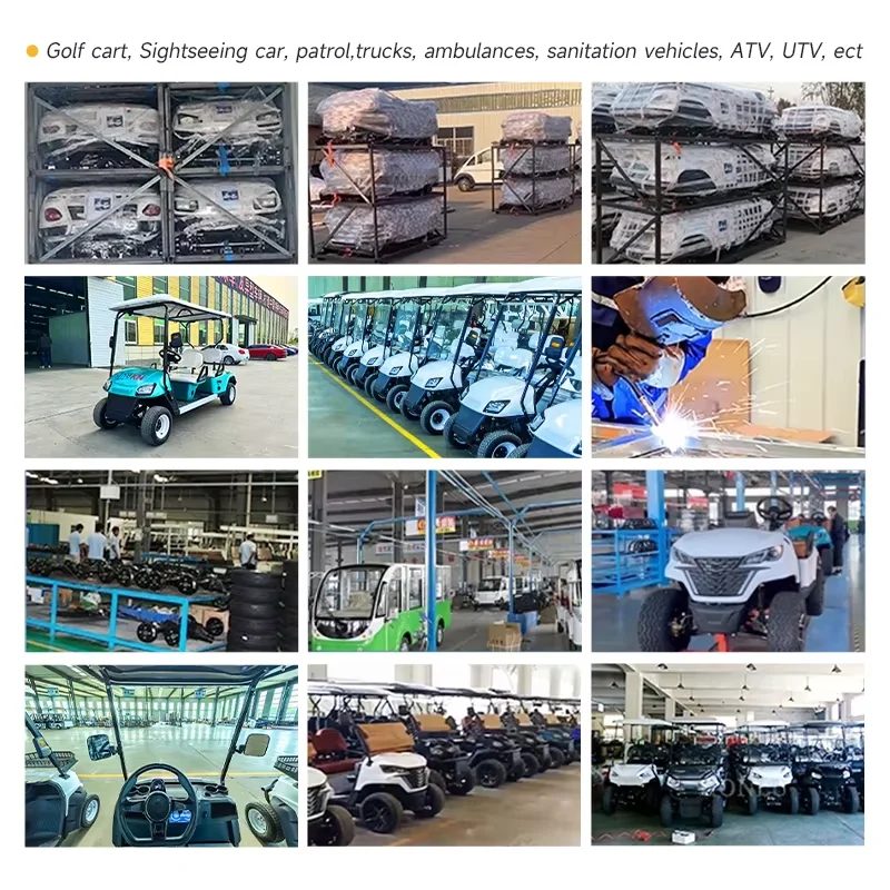 Customized Pickup Truck Aluminum Cargo Bed 5 Seater Utility Carts Automatic Electric Patrol Golf Cart with Box