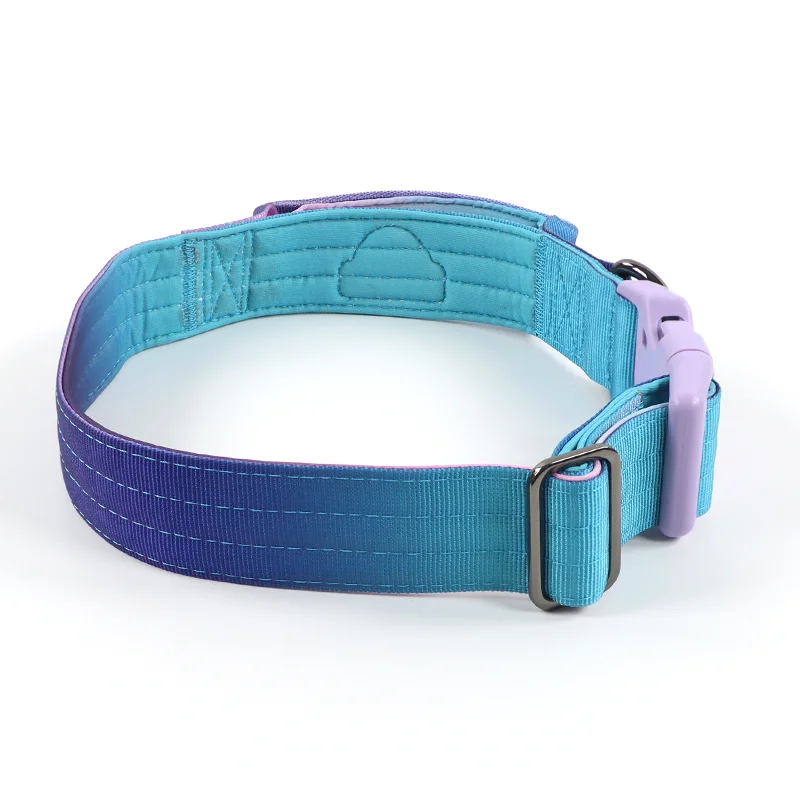 Stylish Adjustable Purple and Blue Clashing Colour Pet Collar with Plastic Accessories Dog Collar with Soft Handle For Dog